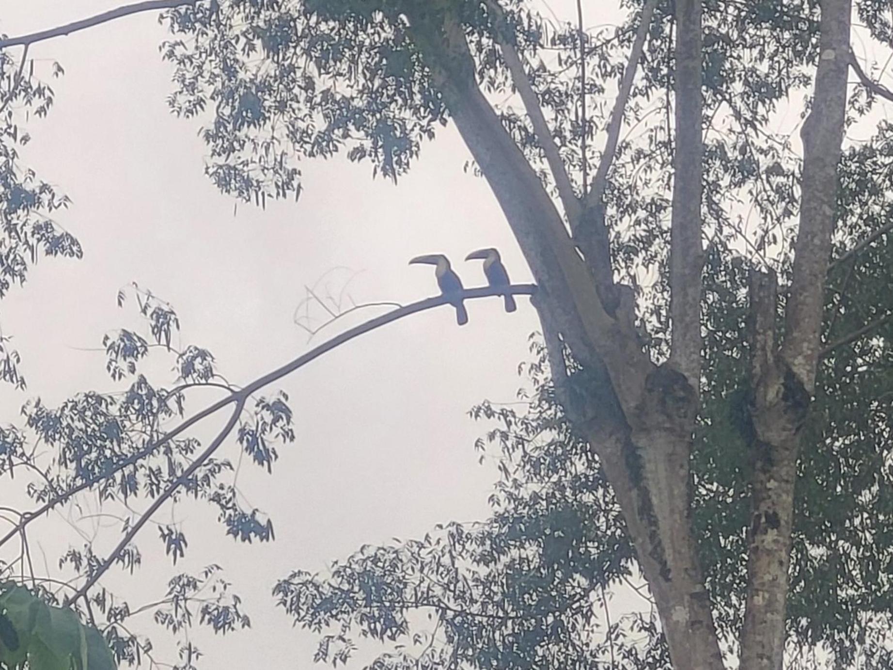 לינה וארוחת בוקר אוביטה Madre Terra מראה חיצוני תמונה